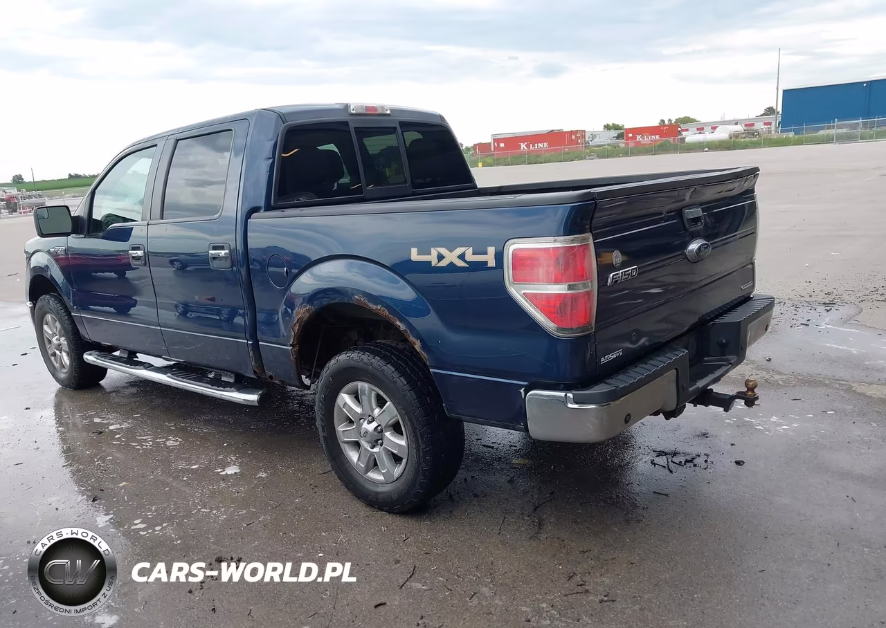 2013 Ford F-150 Xlt VIN:1FTFW1EF1DKF71650 - 3