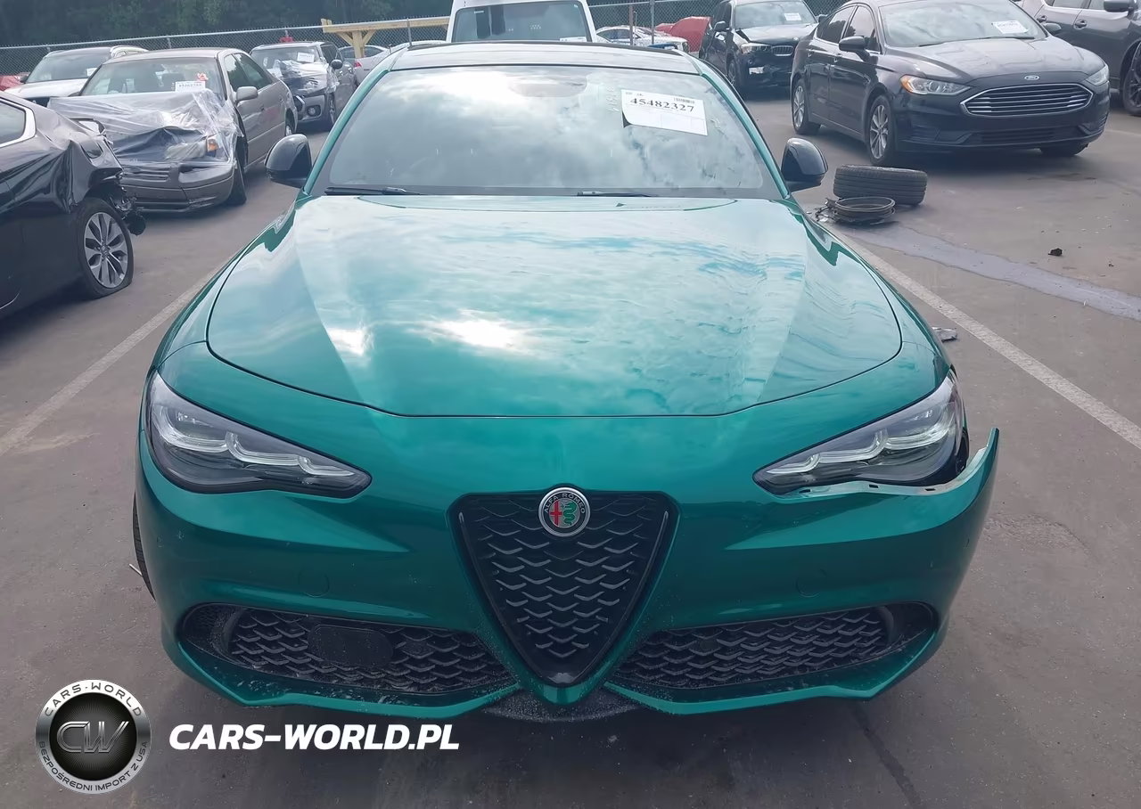2025 Alfa Romeo Giulia Rwd VIN:ZARFAMAN9S7689688 - 11
