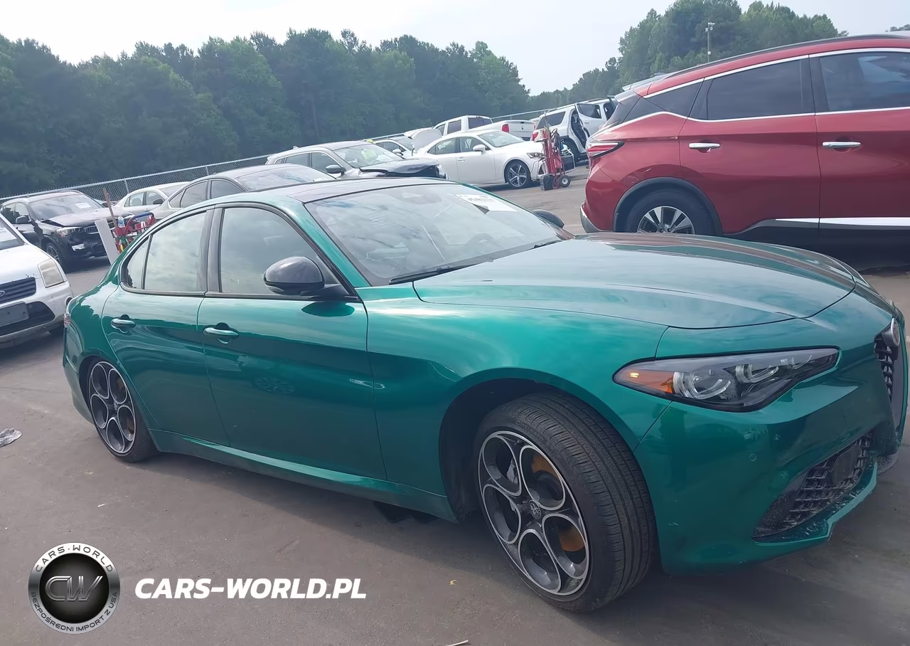 2025 Alfa Romeo Giulia Rwd VIN:ZARFAMAN9S7689688 - 12