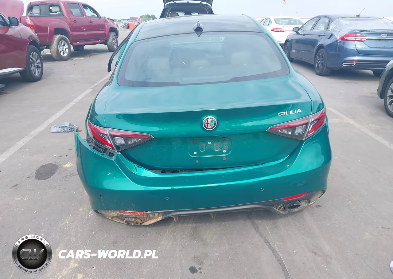 2025 Alfa Romeo Giulia Rwd VIN:ZARFAMAN9S7689688 - 15
