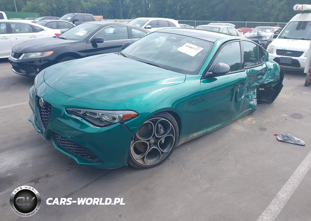 2025 Alfa Romeo Giulia Rwd VIN:ZARFAMAN9S7689688 - 2