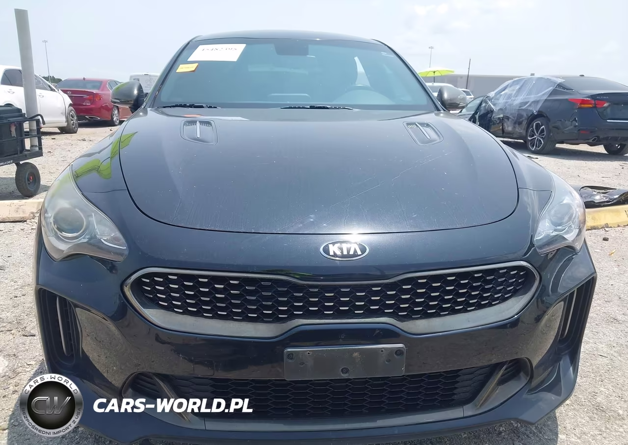2020 Kia Stinger Gt-Line VIN:KNAE15LA6L6076938 - 13