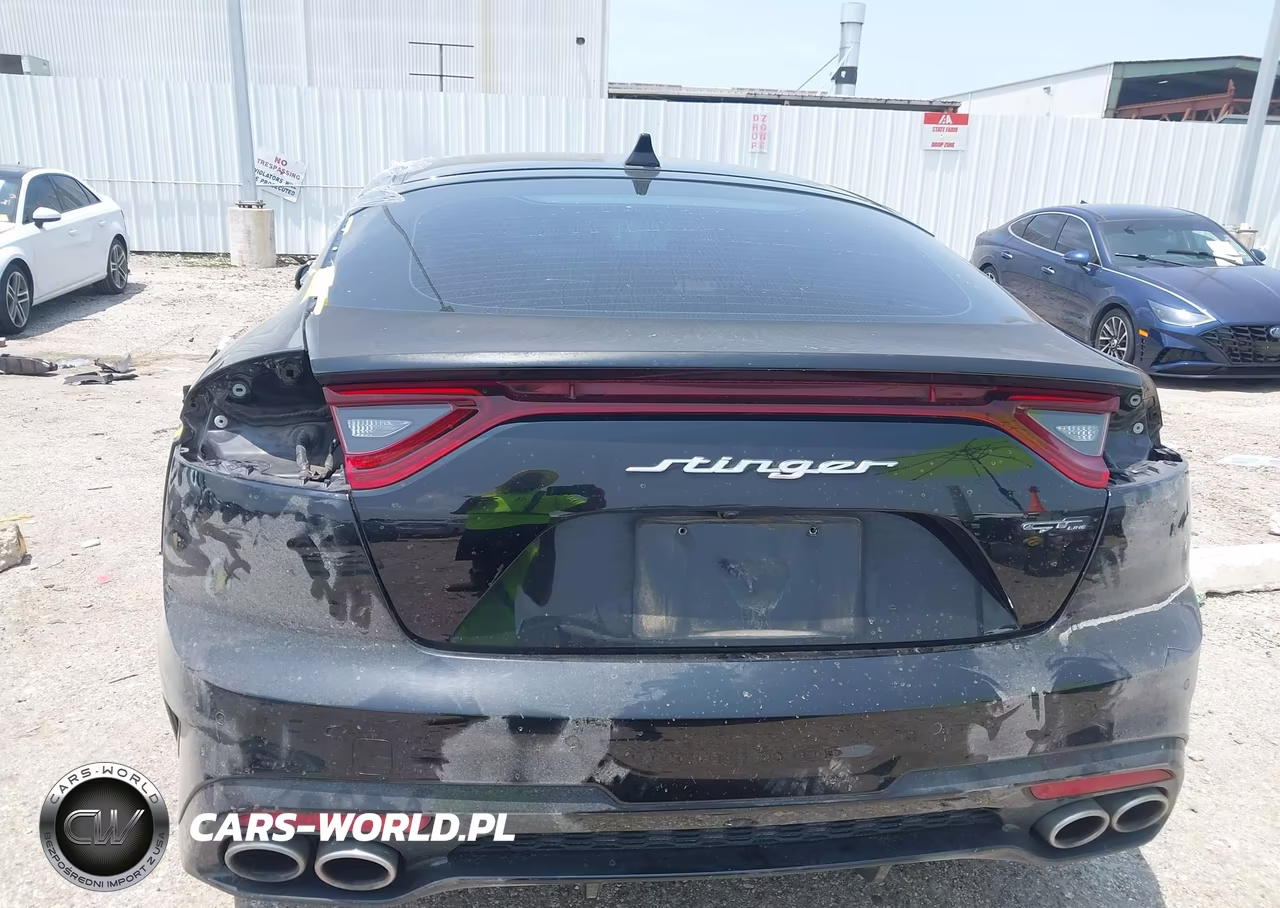 2020 Kia Stinger Gt-Line VIN:KNAE15LA6L6076938 - 17
