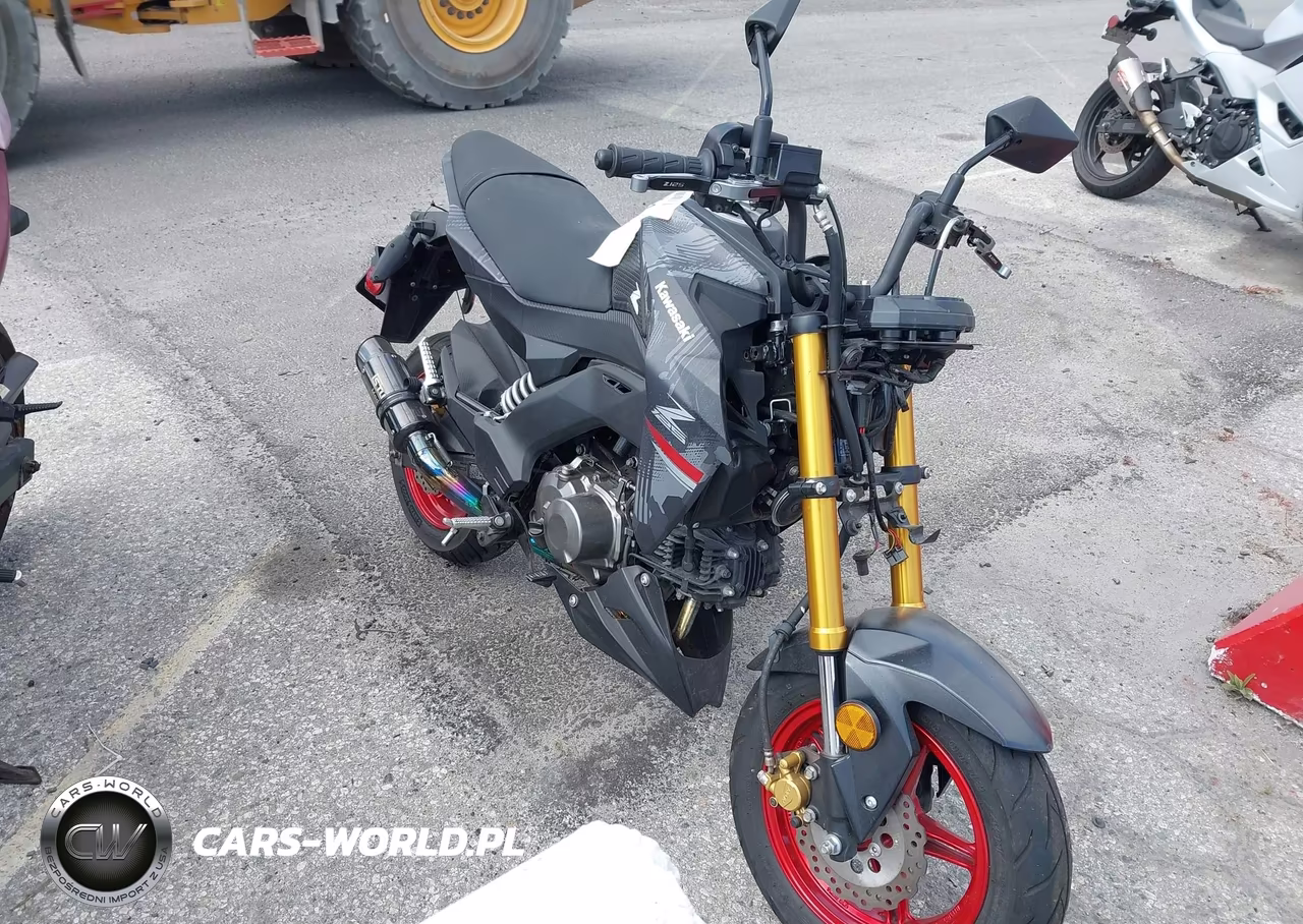 2024 Kawasaki Br125 J