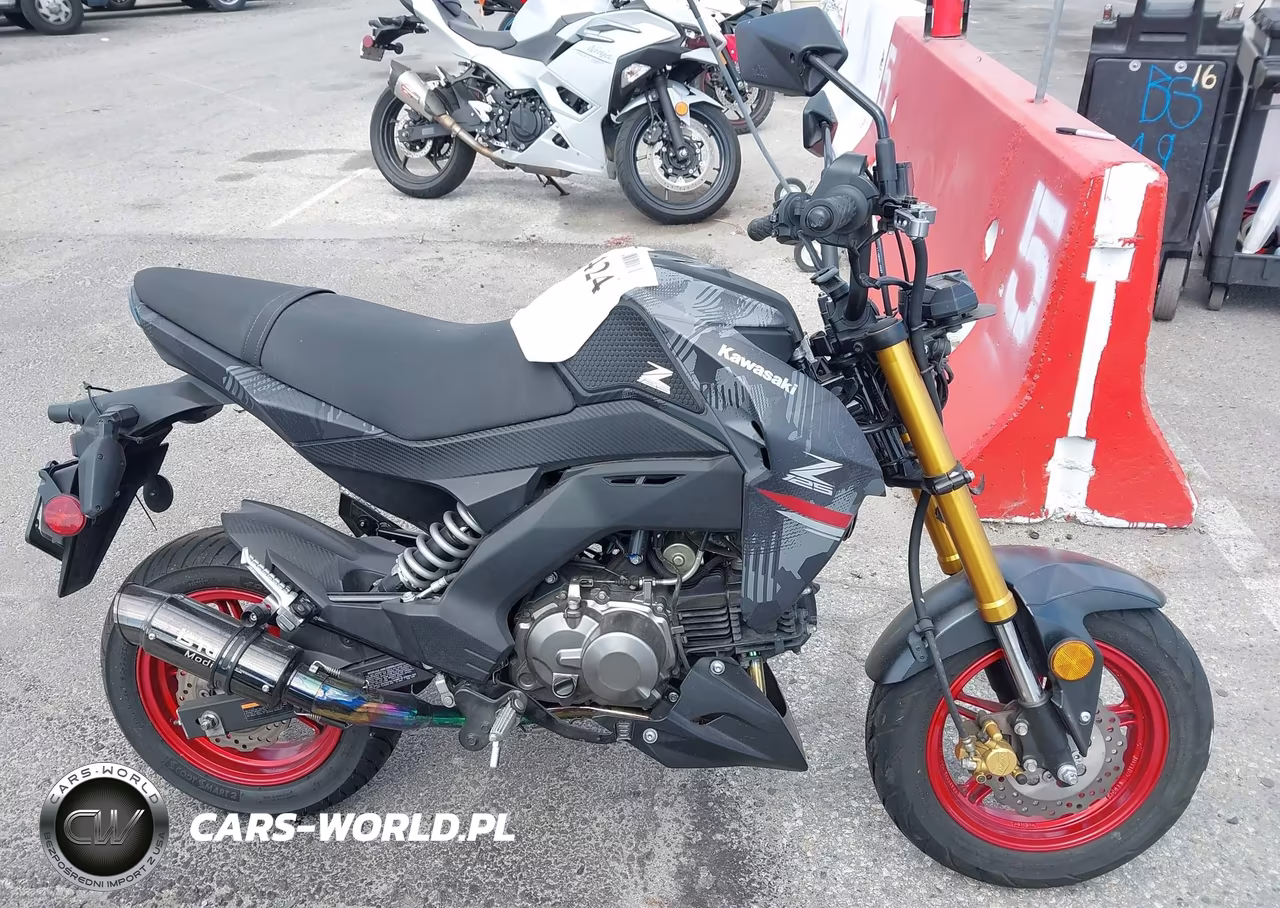 2024 Kawasaki Br125 J VIN:JKABRRJ17RDA32487 - 11