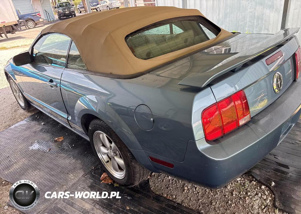 2005 Ford Mustang VIN:1ZVHT84N755242547 - 3