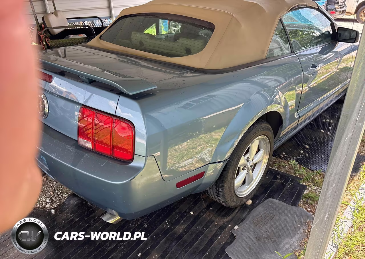 2005 Ford Mustang VIN:1ZVHT84N755242547 - 4