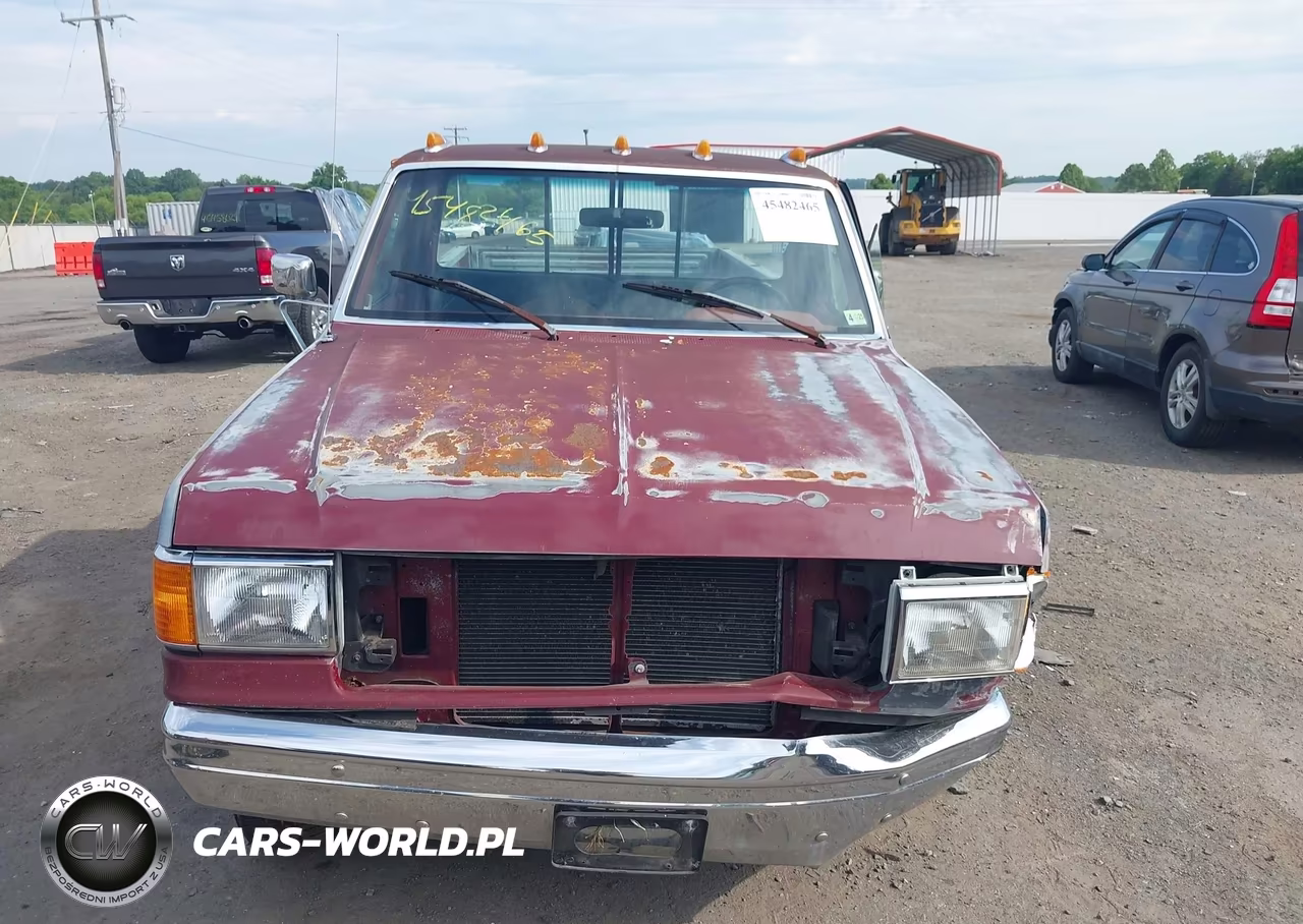1991 Ford F150 VIN:1FTEF14Y3MNA69249 - 12