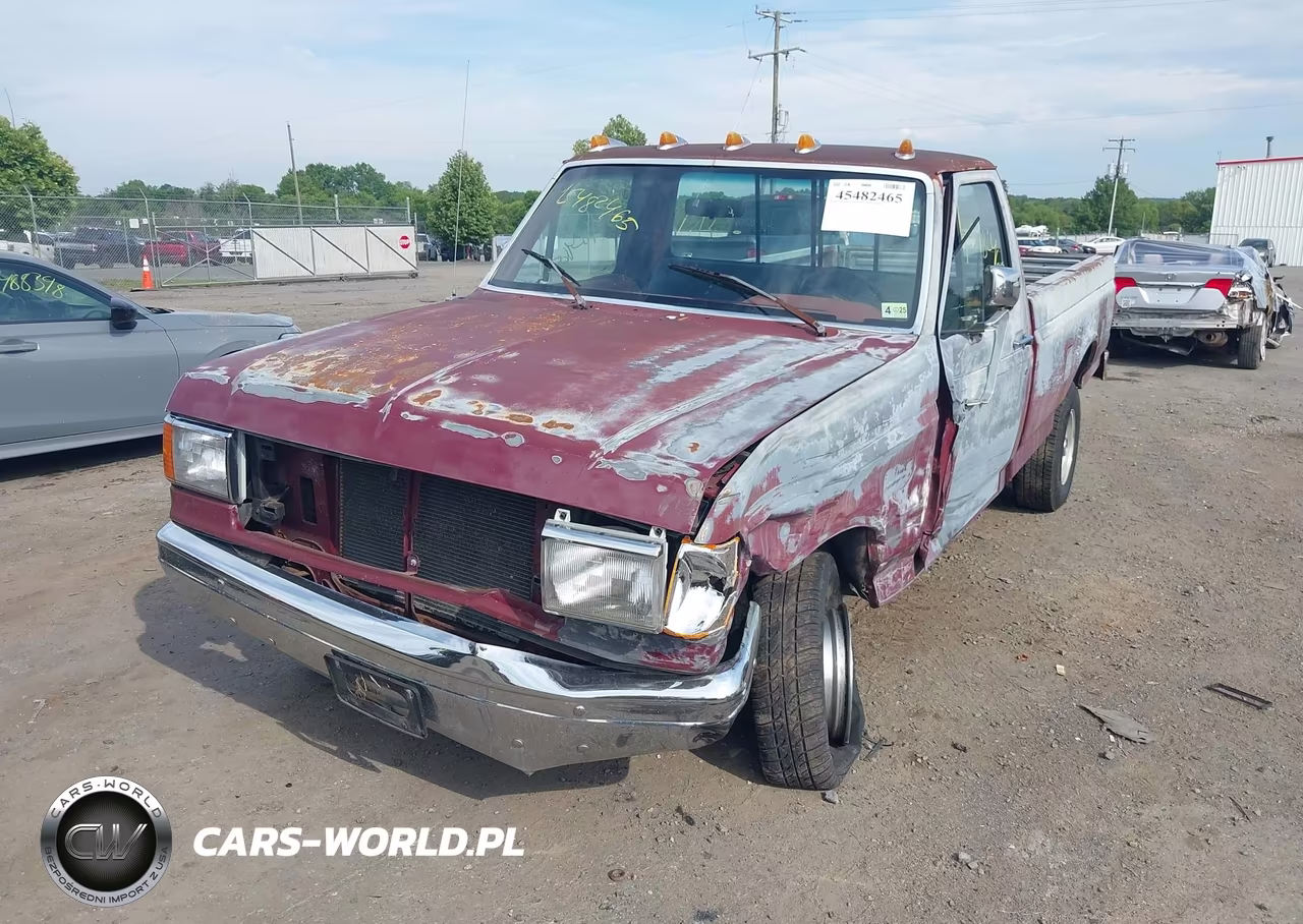 1991 Ford F150 VIN:1FTEF14Y3MNA69249 - 2