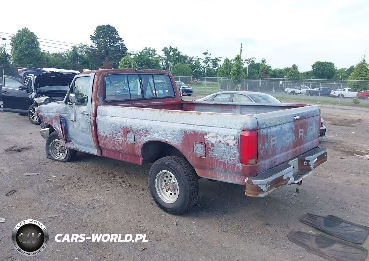 1991 Ford F150 VIN:1FTEF14Y3MNA69249 - 3