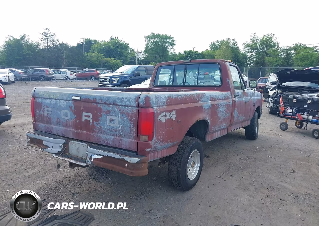 1991 Ford F150 VIN:1FTEF14Y3MNA69249 - 4