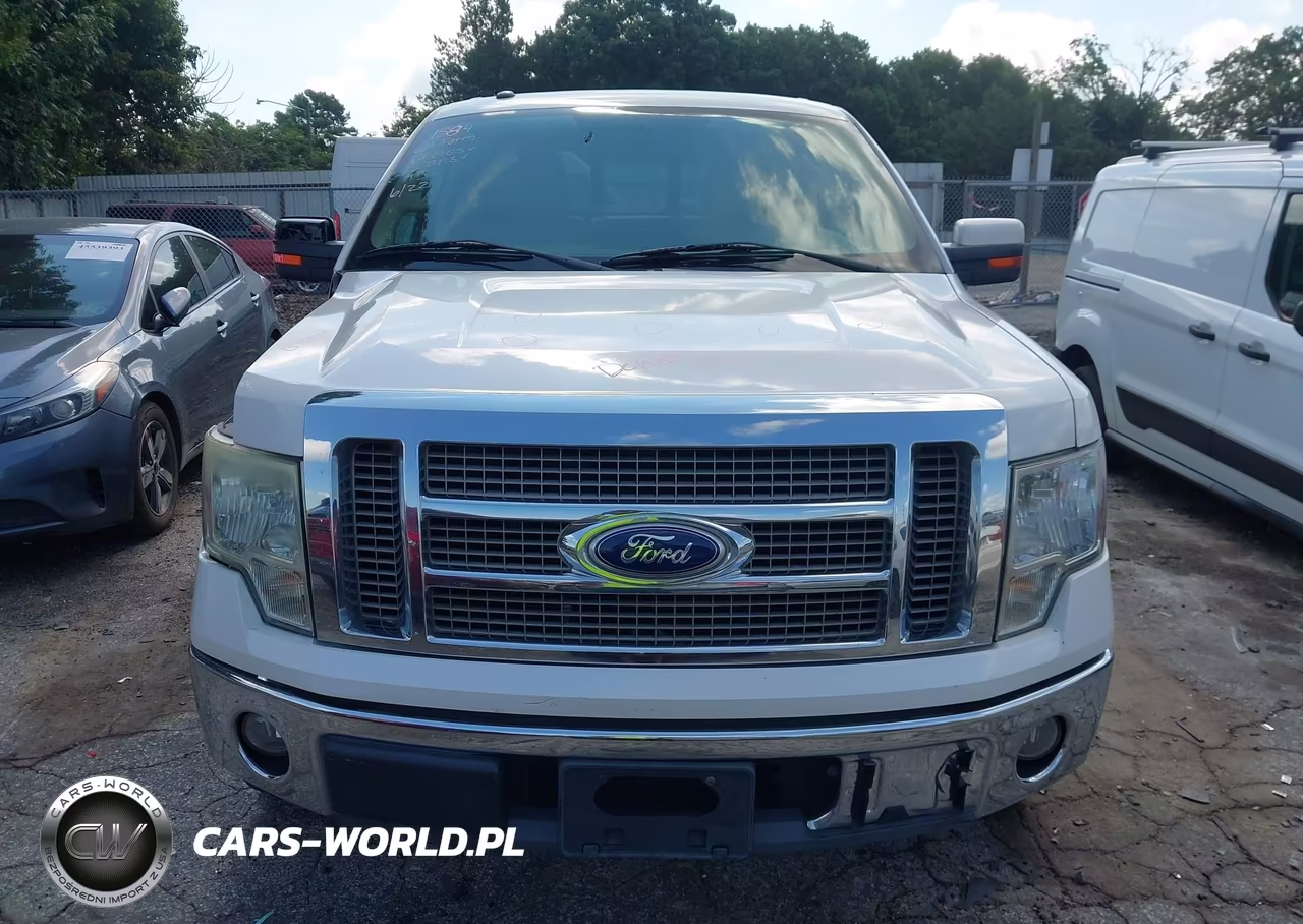 2010 Ford F-150 Platinum VIN:1FTFW1CV2AFC60050 - 12