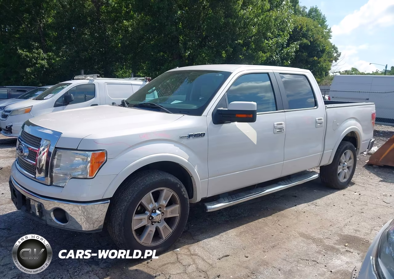 2010 Ford F-150 Platinum VIN:1FTFW1CV2AFC60050 - 14