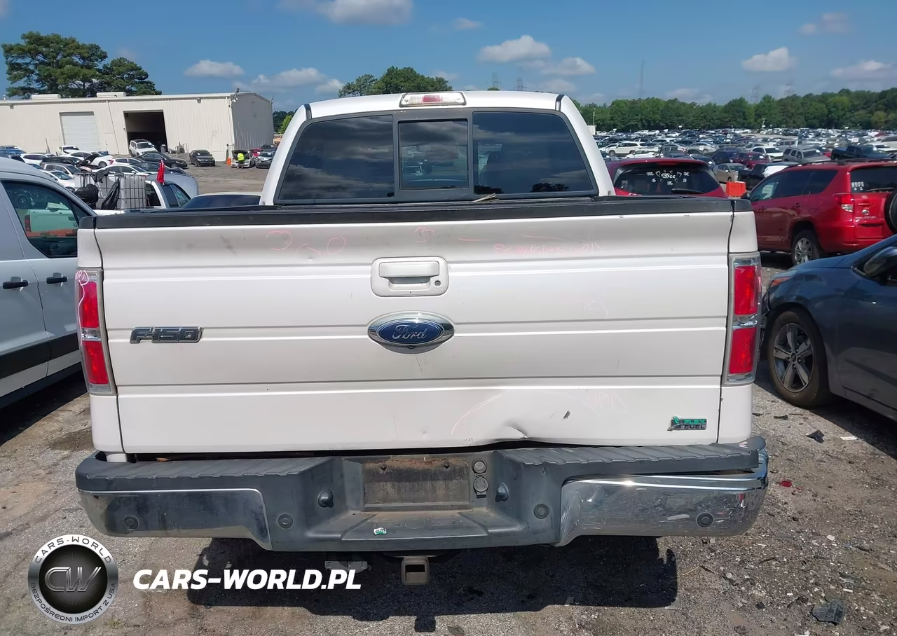 2010 Ford F-150 Platinum VIN:1FTFW1CV2AFC60050 - 16