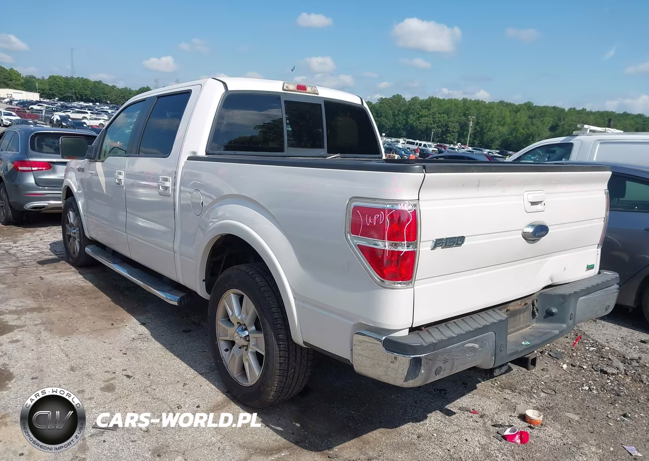 2010 Ford F-150 Platinum VIN:1FTFW1CV2AFC60050 - 3