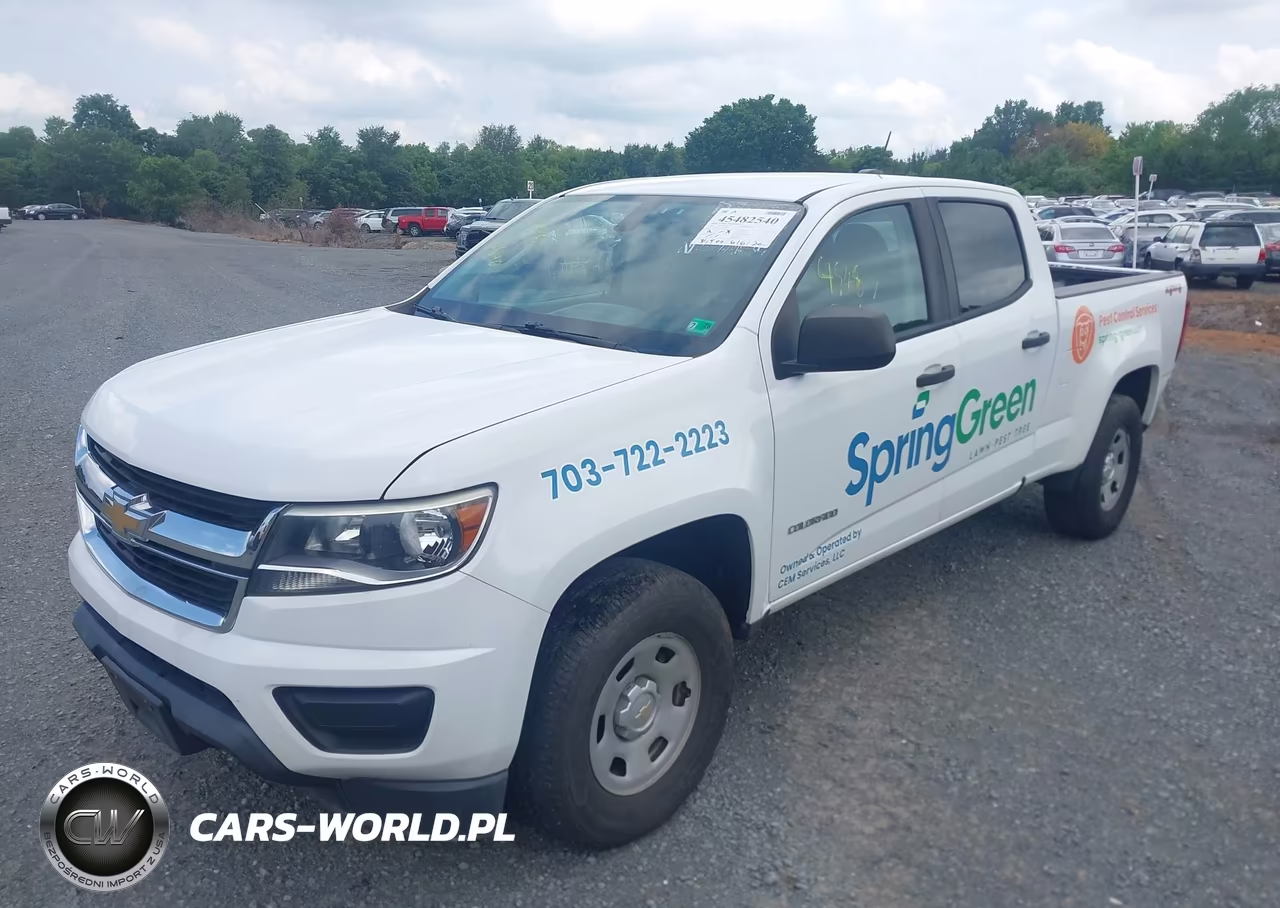 2017 Chevrolet Colorado 4Wd Wt VIN:1GCGTBEN4H1315556 - 2