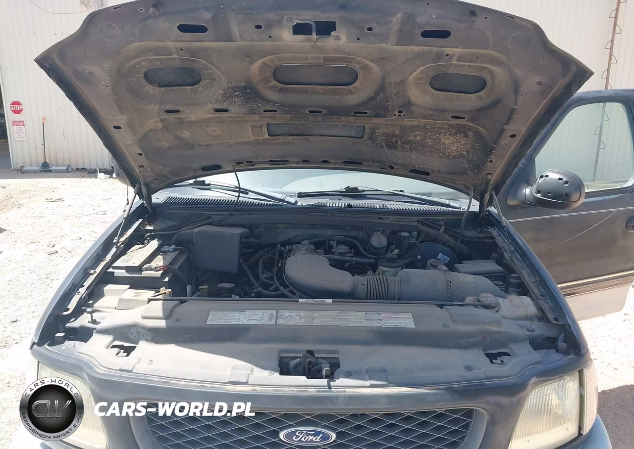 1998 Ford F-150 Lariat-Standard-Xl-Xlt VIN:2FTRX18L9WCB06763 - 10
