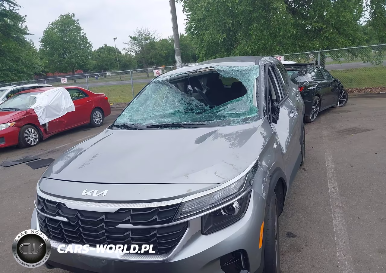 2024 Kia Seltos Lx VIN:KNDEPCAA6R7635769 - 12