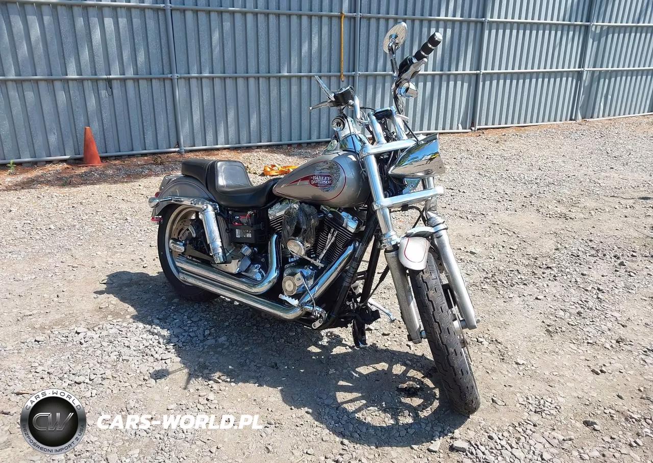 2007 Harley-Davidson Fxdl VIN:1HD1GN4187K310524 - 1