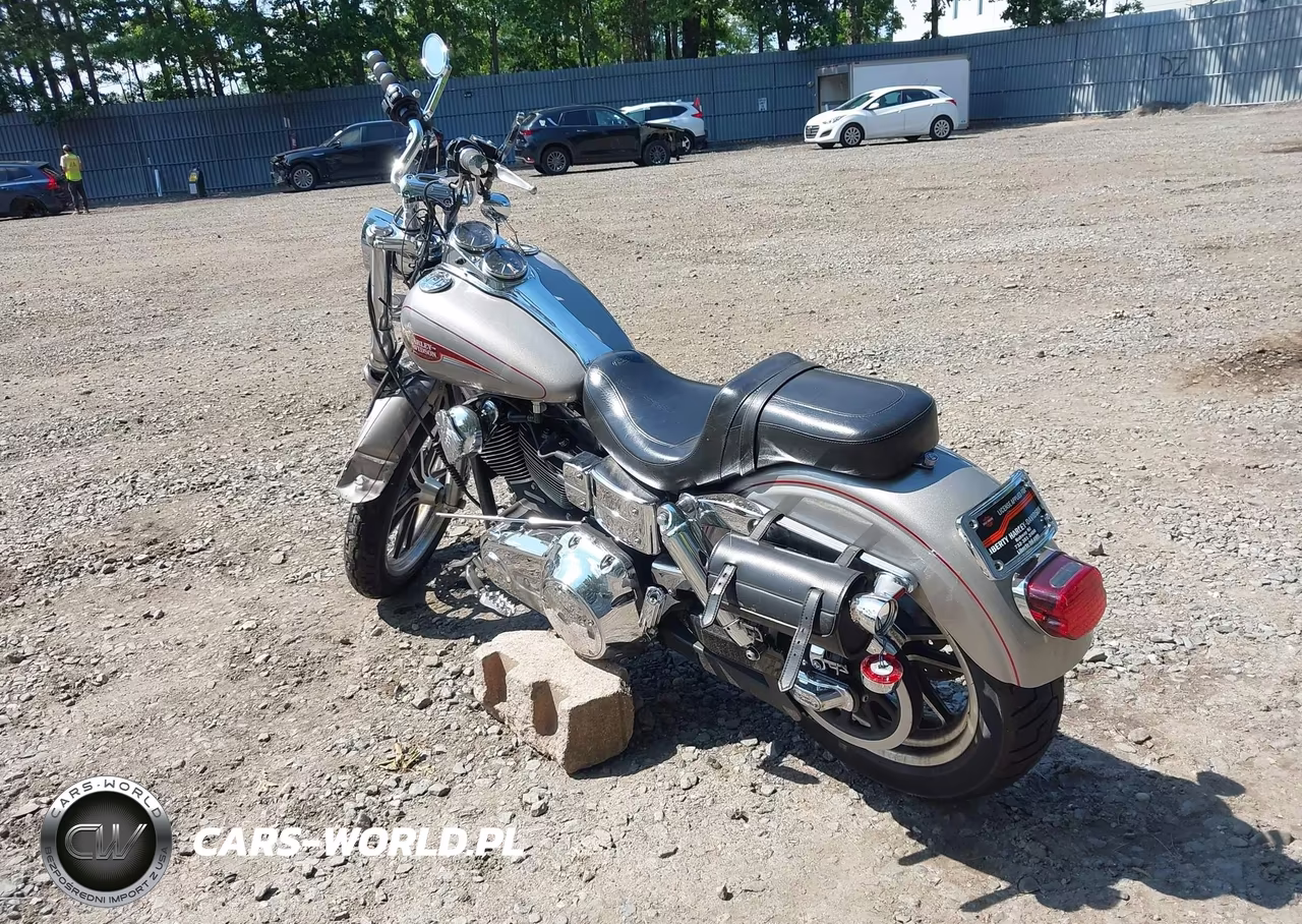 2007 Harley-Davidson Fxdl VIN:1HD1GN4187K310524 - 3