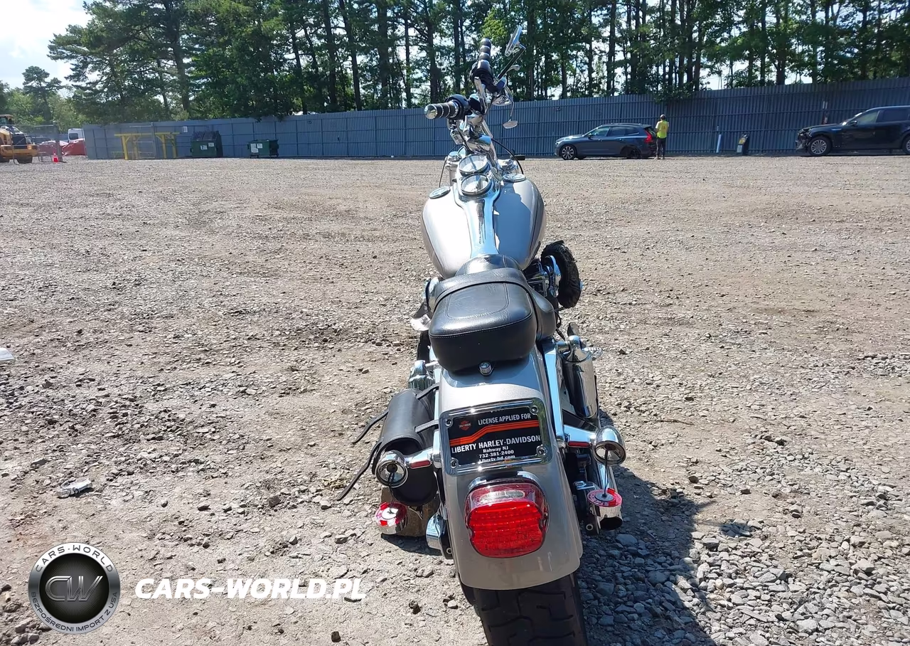 2007 Harley-Davidson Fxdl VIN:1HD1GN4187K310524 - 6
