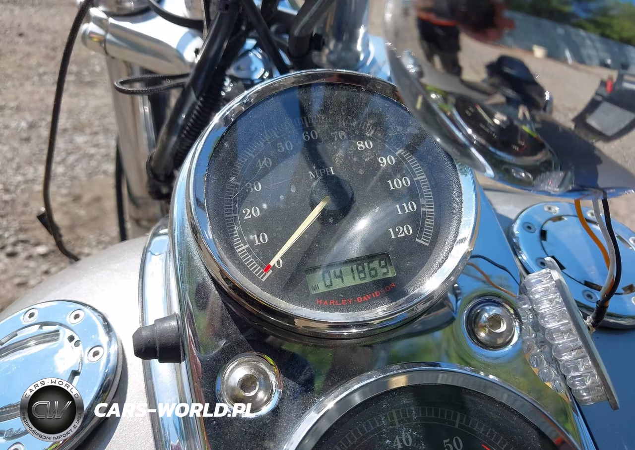 2007 Harley-Davidson Fxdl VIN:1HD1GN4187K310524 - 7