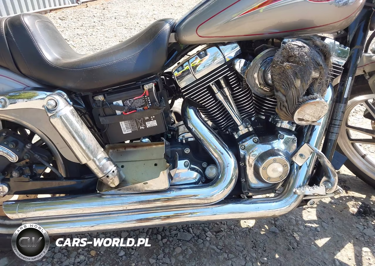 2007 Harley-Davidson Fxdl VIN:1HD1GN4187K310524 - 8