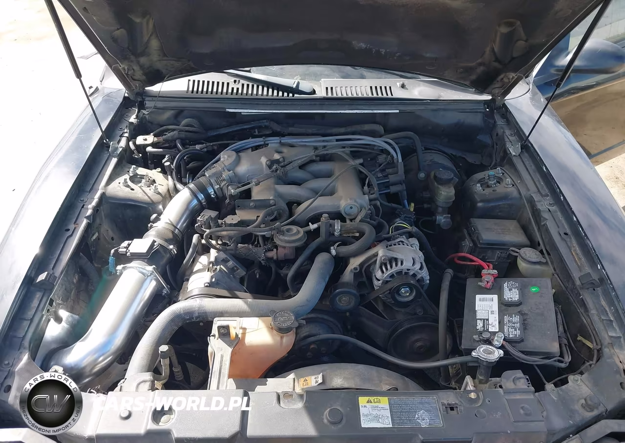 2002 Ford Mustang Deluxe-Premium VIN:1FAFP44402F179415 - 10