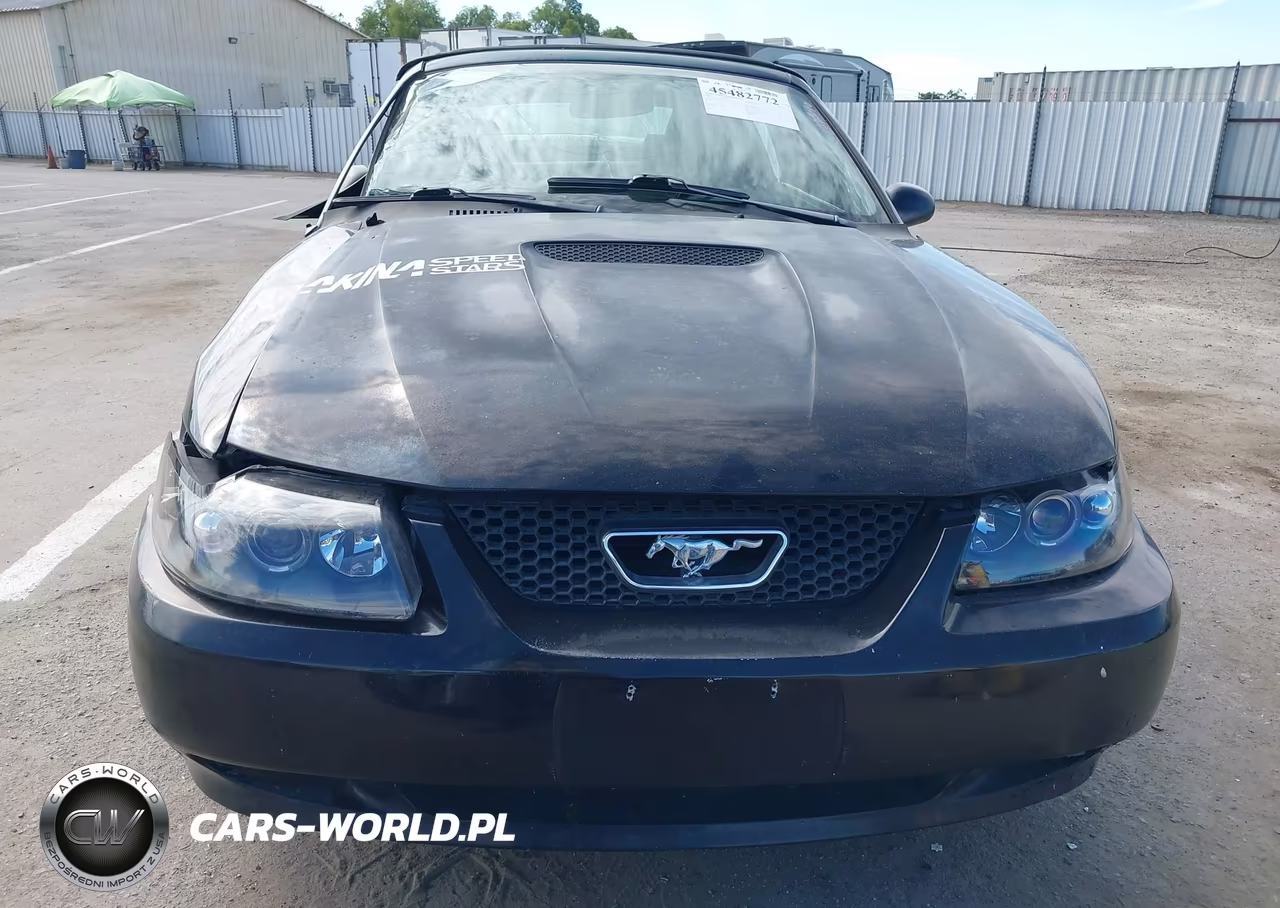 2002 Ford Mustang Deluxe-Premium VIN:1FAFP44402F179415 - 16