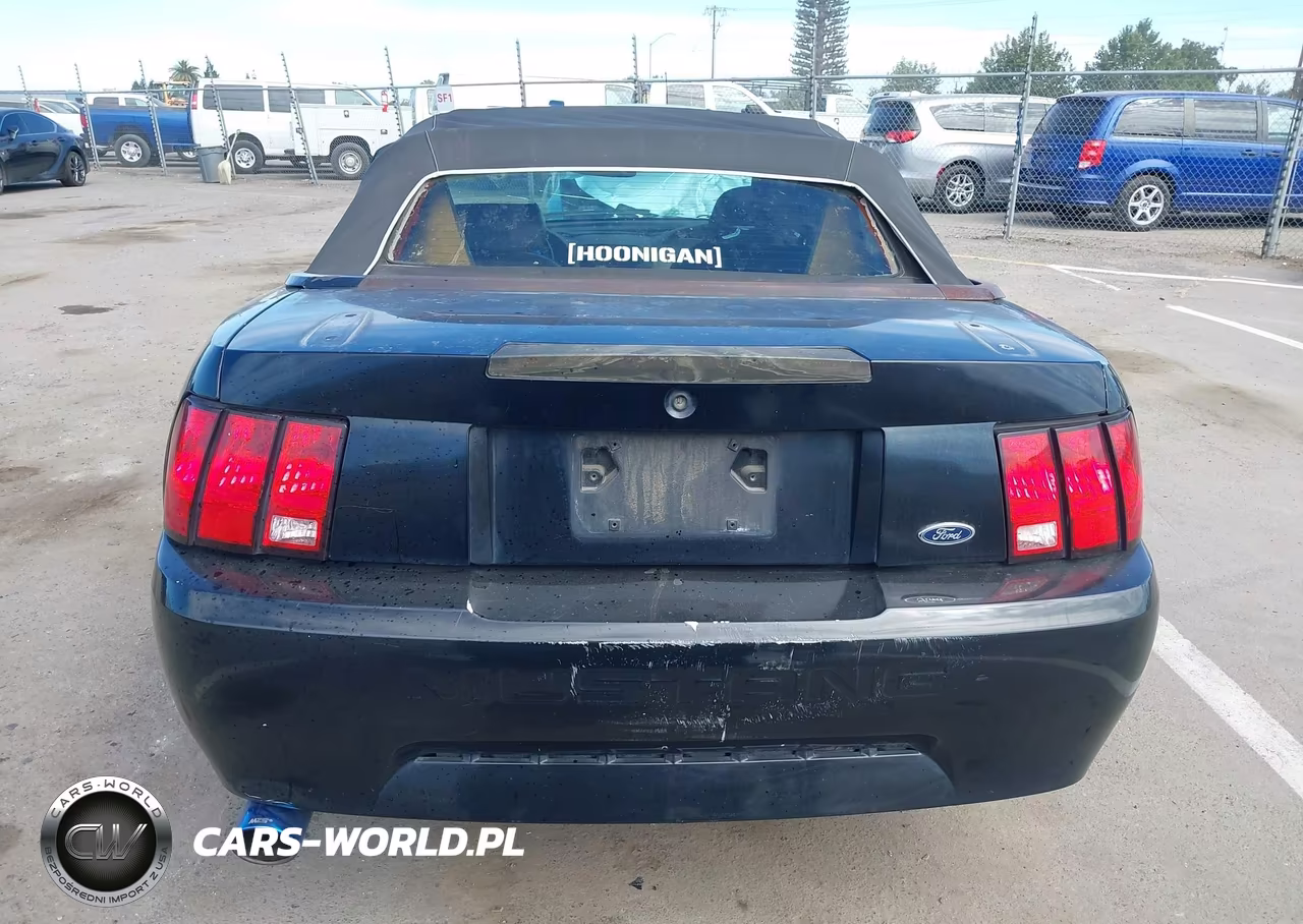 2002 Ford Mustang Deluxe-Premium VIN:1FAFP44402F179415 - 20
