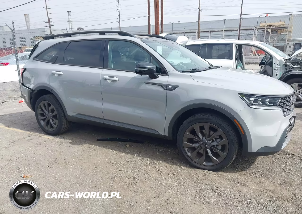 2023 Kia Sorento X-Line Sx Prestige VIN:5XYRKDLFXPG196896 - 13