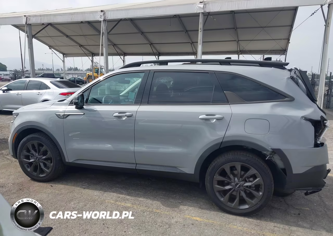 2023 Kia Sorento X-Line Sx Prestige VIN:5XYRKDLFXPG196896 - 14