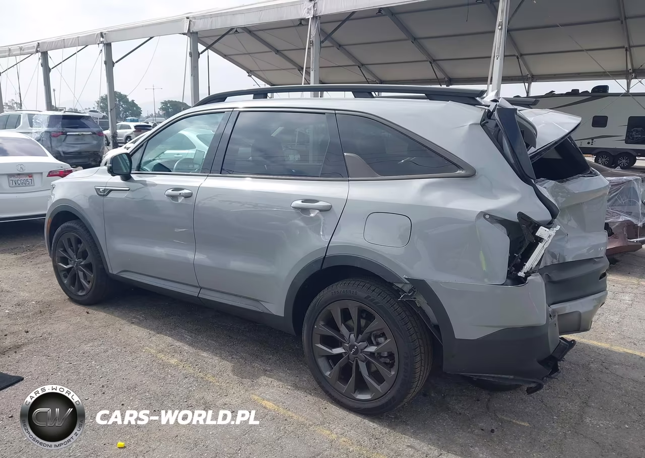 2023 Kia Sorento X-Line Sx Prestige VIN:5XYRKDLFXPG196896 - 3