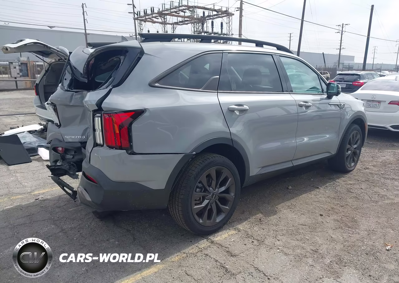 2023 Kia Sorento X-Line Sx Prestige VIN:5XYRKDLFXPG196896 - 4