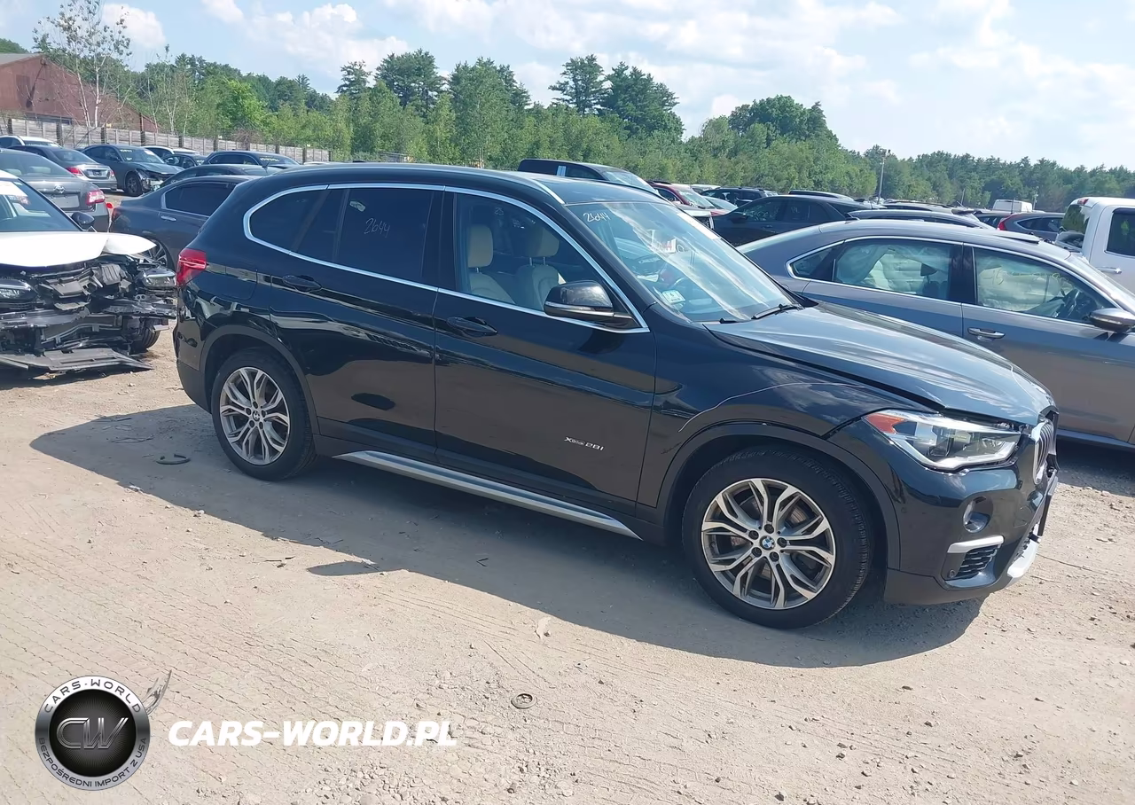 2017 BMW X1 xDrive28I – zdjęcie 1 z 16