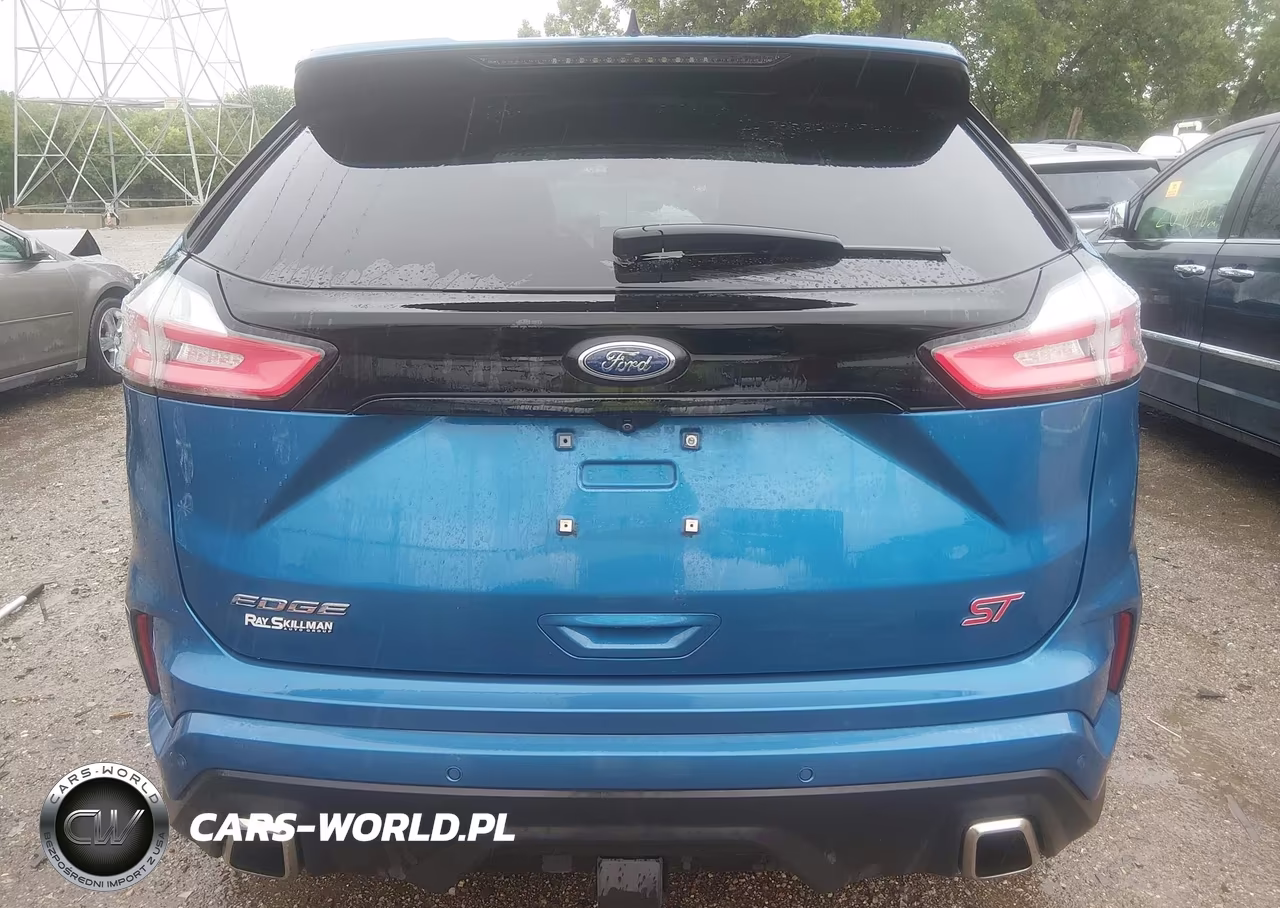 2020 Ford Edge St VIN:2FMPK4AP6LBB42850 - 16