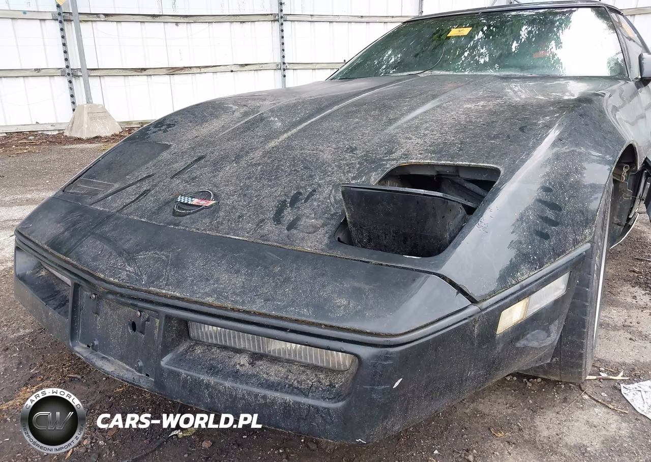1990 Chevrolet Corvette VIN:1G1YY2385L5119042 - 12