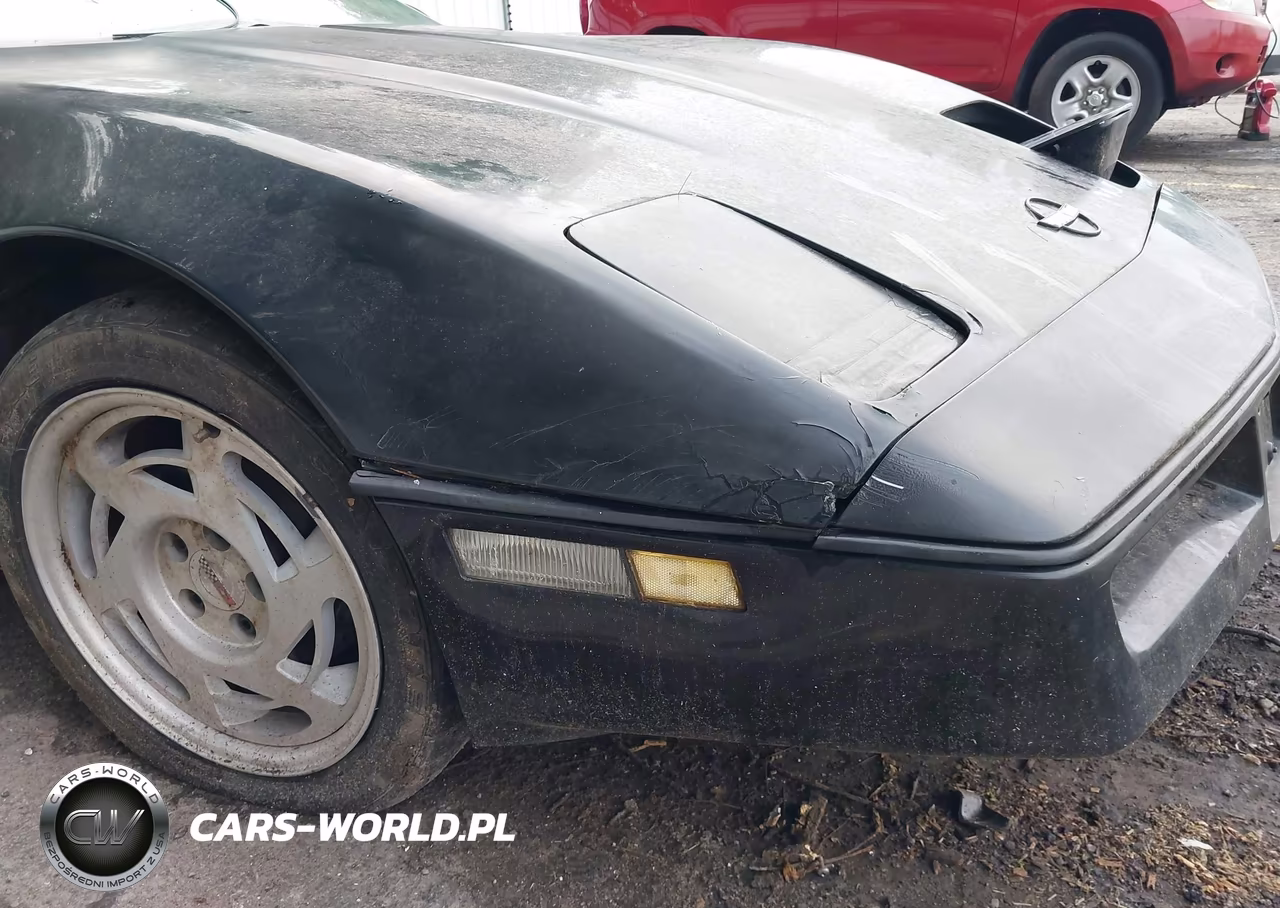 1990 Chevrolet Corvette VIN:1G1YY2385L5119042 - 13