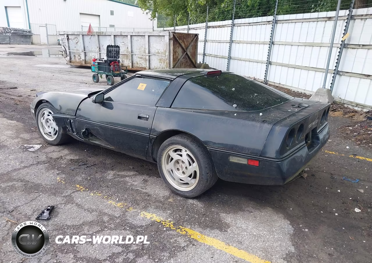 1990 Chevrolet Corvette VIN:1G1YY2385L5119042 - 3