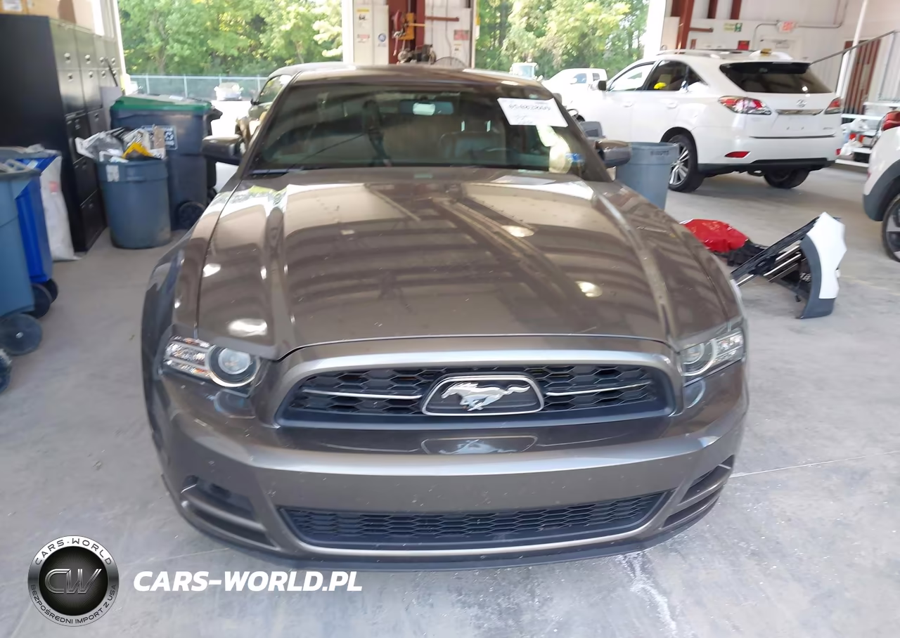 2014 Ford Mustang V6 Premium VIN:1ZVBP8AM9E5326066 - 11