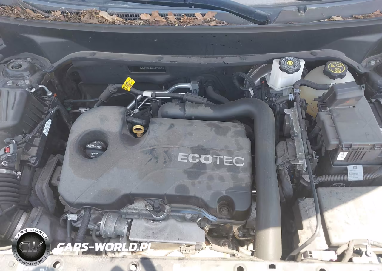 2020 Chevrolet Equinox Fwd Ls VIN:2GNAXHEV3L6110871 - 10