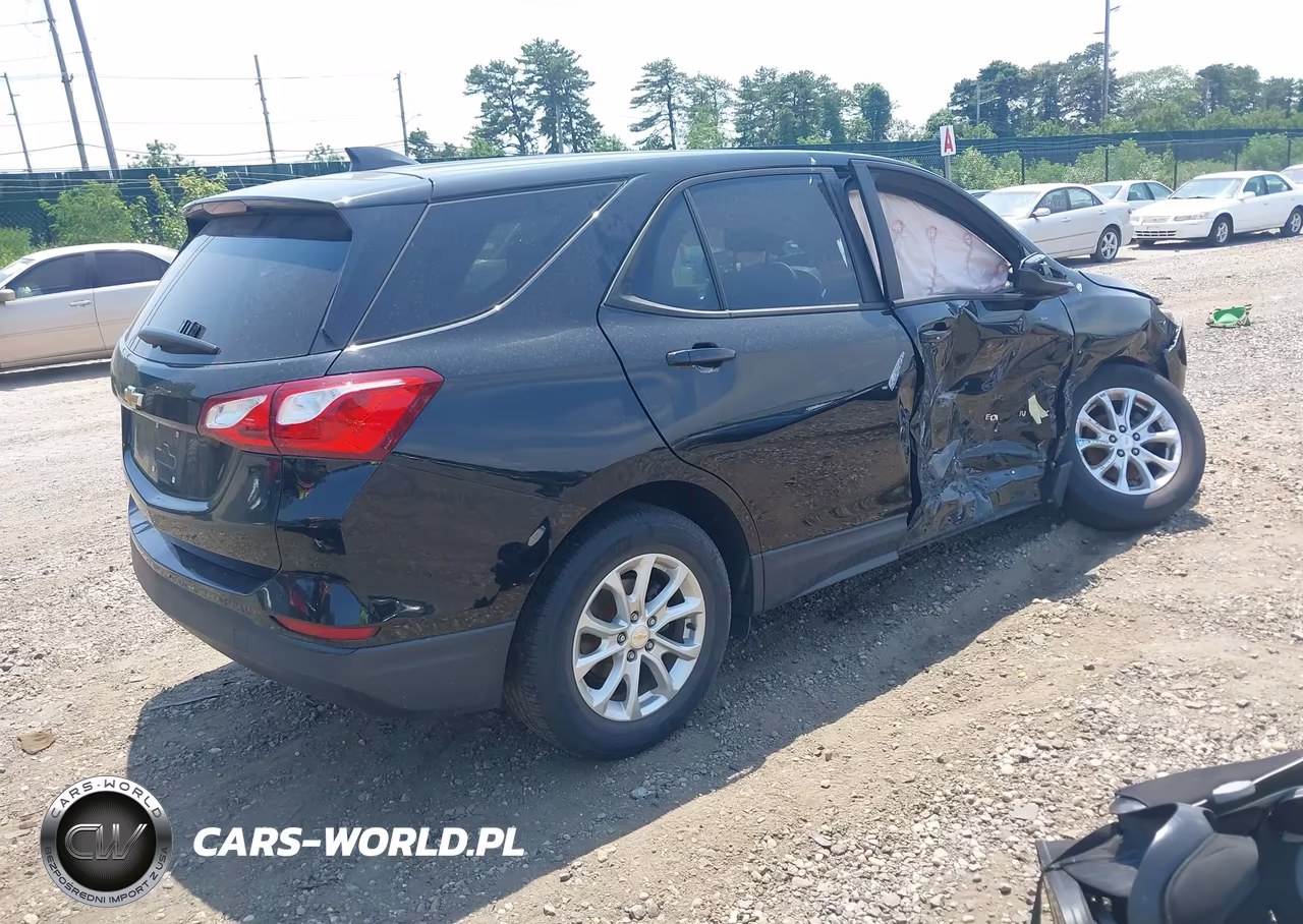 2020 Chevrolet Equinox Fwd Ls VIN:2GNAXHEV3L6110871 - 4