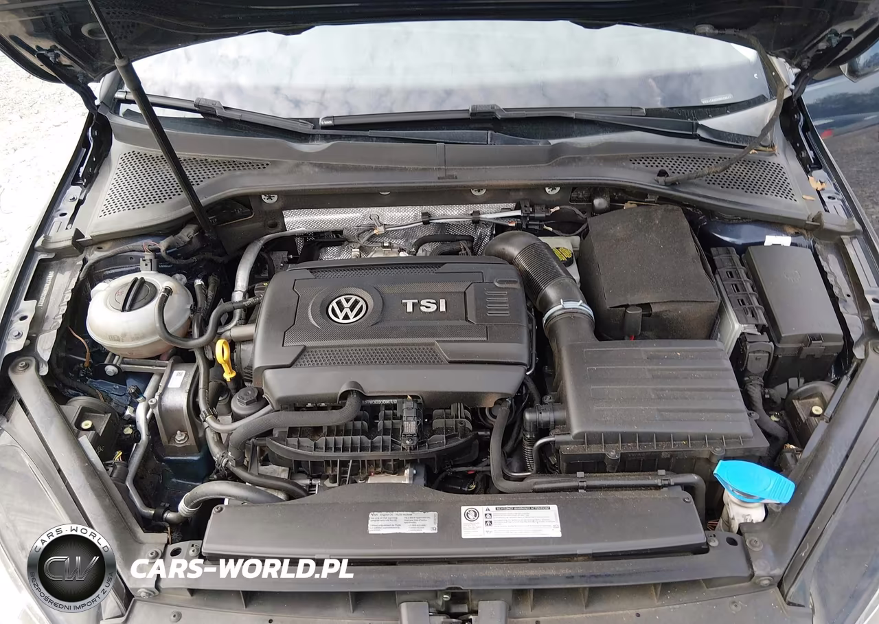 2017 Volkswagen Golf Tsi S 4-Door-Tsi Se 4-Door-Tsi Sel 4-Door-Tsi Wolfsburg Edition 4-Door VIN:3VW217AUXHM020021 - 10