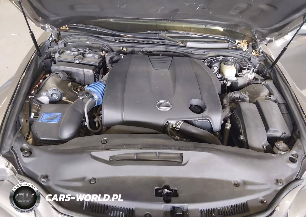 2015 Lexus Is 250 VIN:JTHBF1D23F5061569 - 10