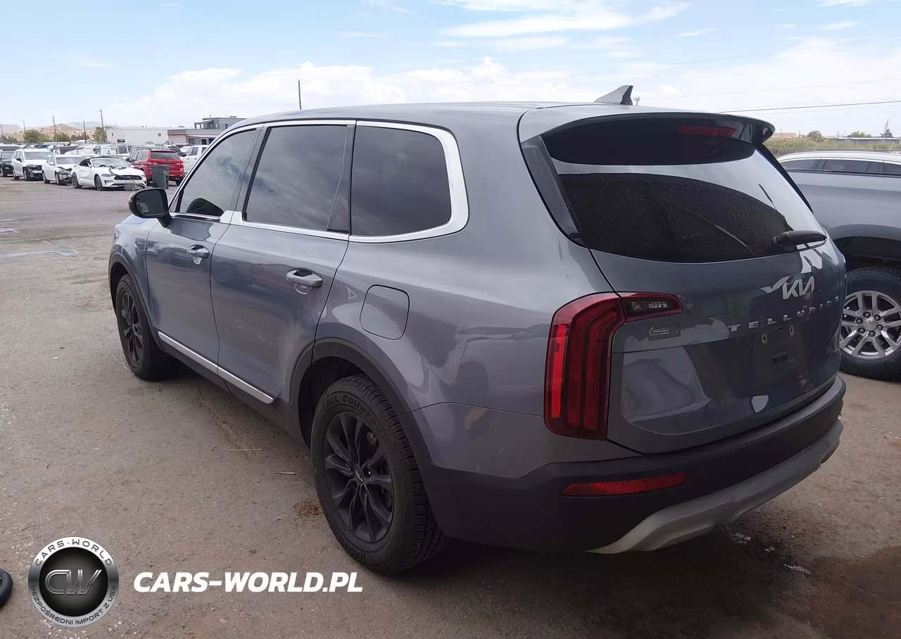 2022 Kia Telluride Lx VIN:5XYP24HC5NG262502 - 3