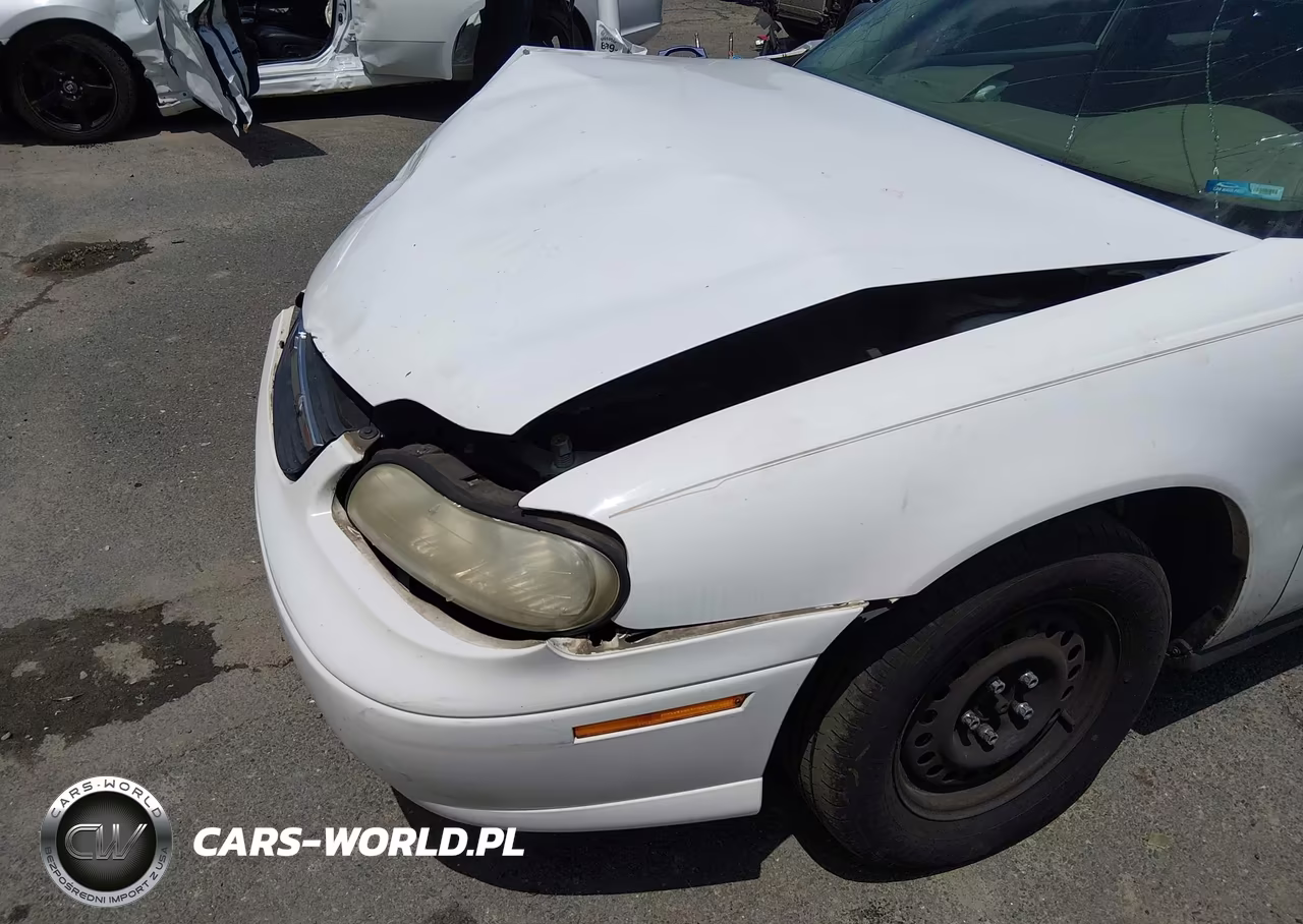 2004 Chevrolet Classic VIN:1G1ND52F14M564997 - 6