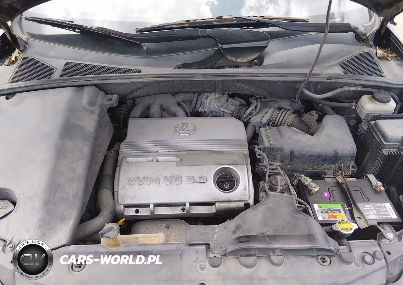 2004 Lexus Rx 330 VIN:JTJHA31U640049001 - 10