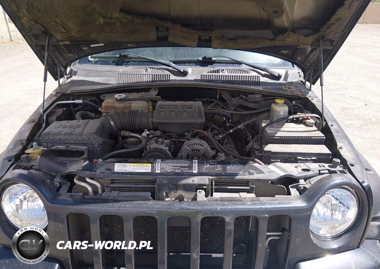 2003 Jeep Liberty Renegade VIN:1J4GL38KX3W621688 - 10