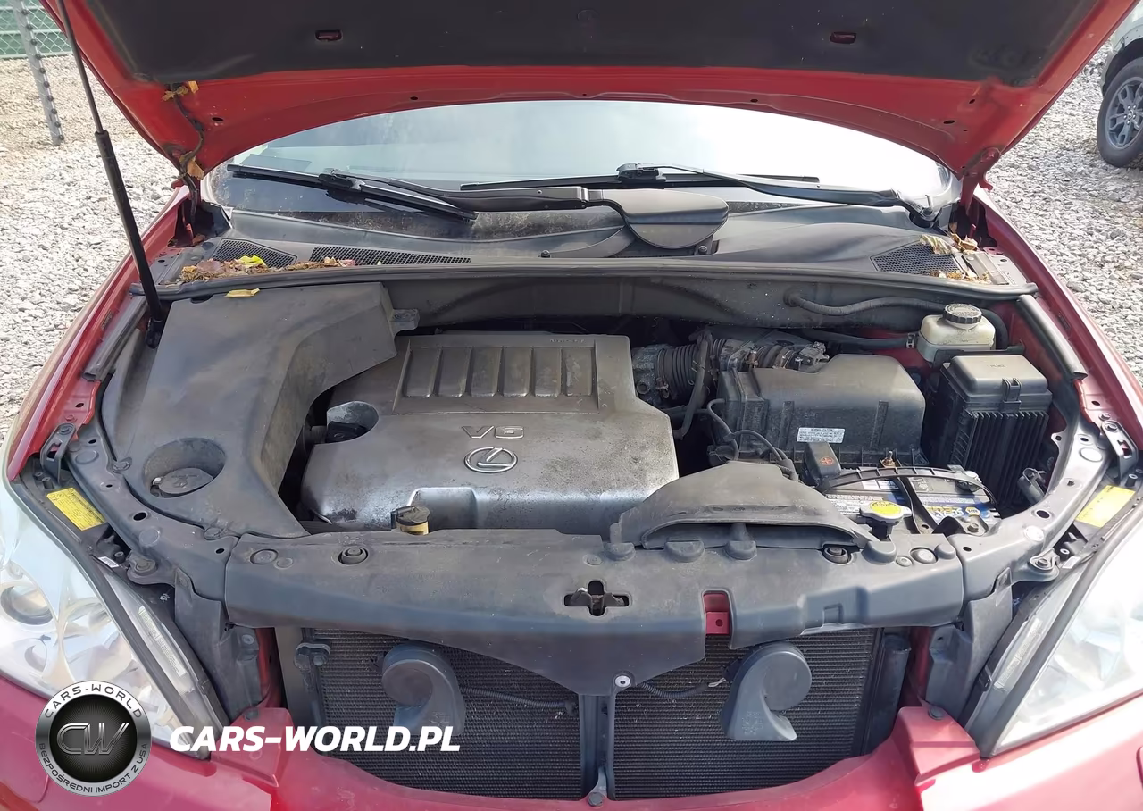 2009 Lexus Rx 350 VIN:2T2HK31U99C107272 - 10
