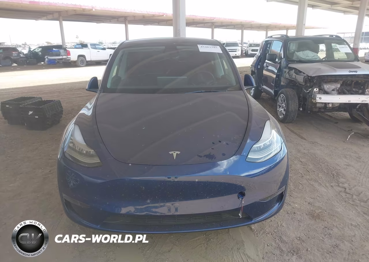 2022 Tesla Model Y VIN:7SAYGDEE7NF369556 - 12